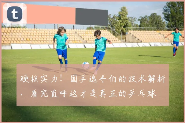 硬核实力!国乒选手们的技术解析,看完直呼这才是真正的乒乓球