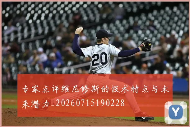 专家点评维尼修斯的技术特点与未来潜力_20260715190228