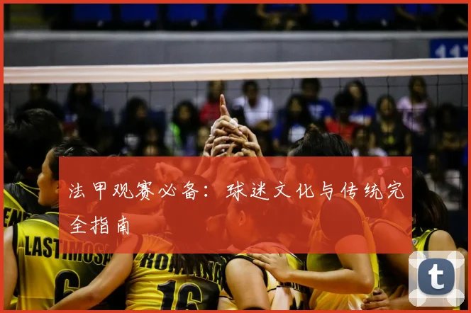 法甲观赛必备：球迷文化与传统完全指南