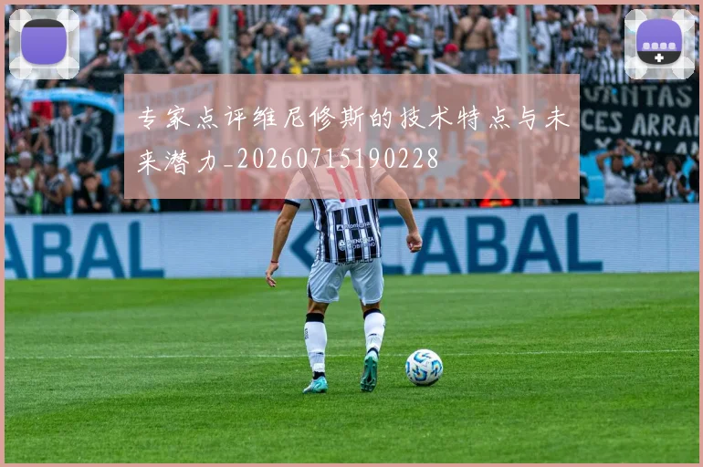 专家点评维尼修斯的技术特点与未来潜力_20260715190228
